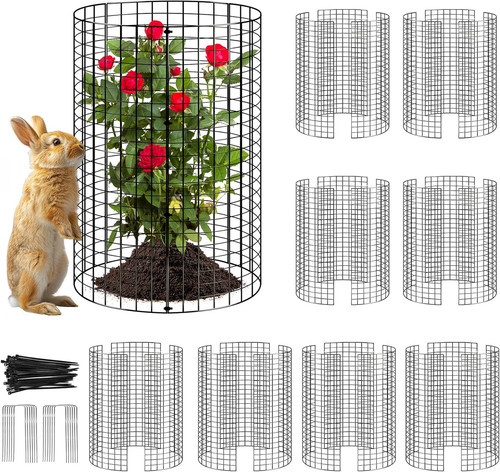 Pack plant protector from - 8,
